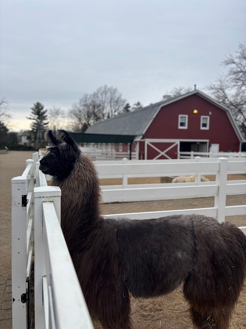 Essential Visitor Info for Planning Your Trip