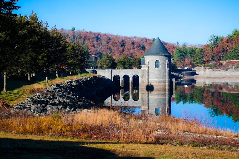 Essential Visitor Information for Planning Your Trip