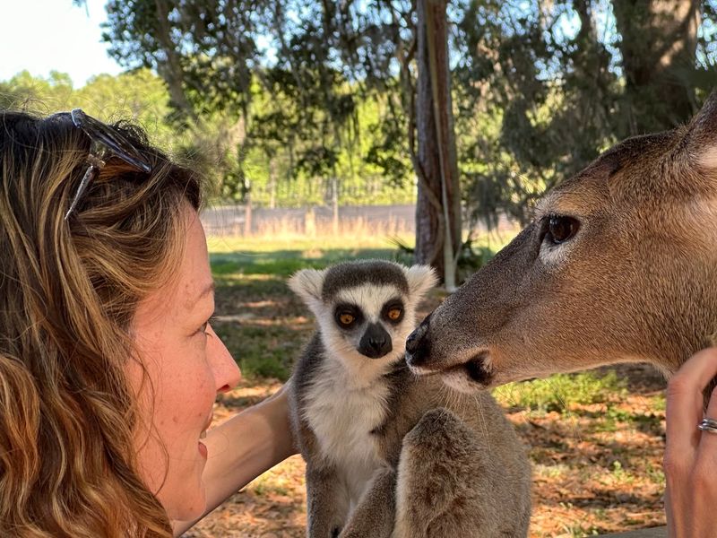 VIP Guided Tour Essentials