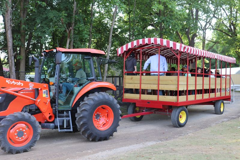 Hayrides and Guided Experiences