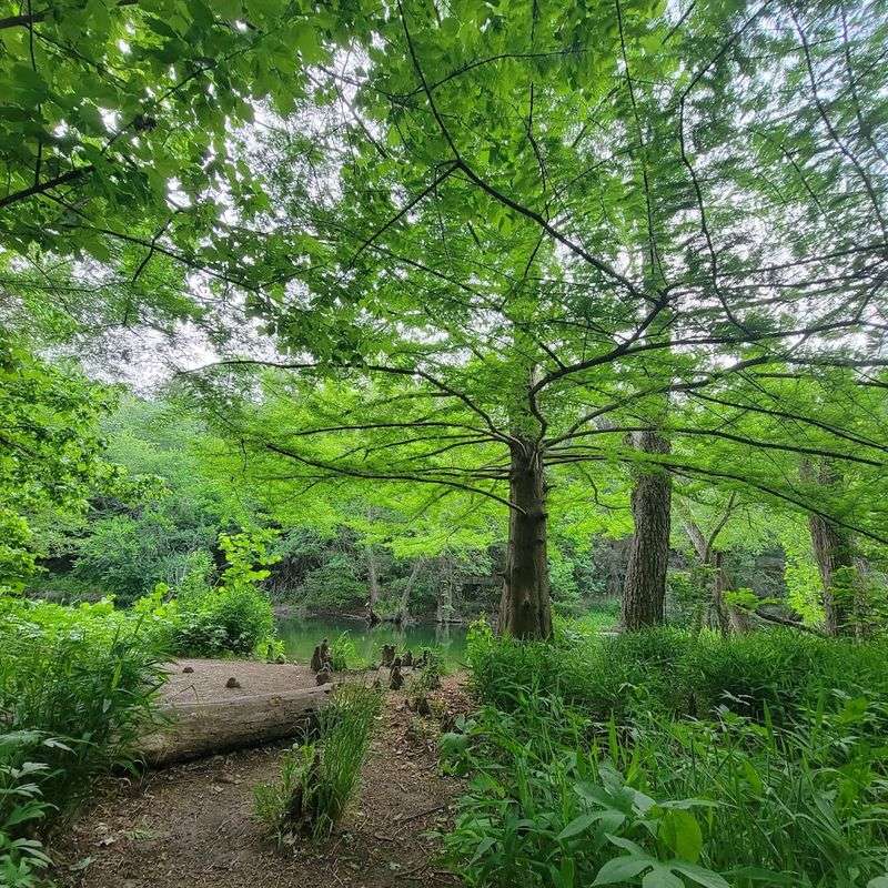 Wildlife and Natural Surroundings: More Than Just a Pretty Walk