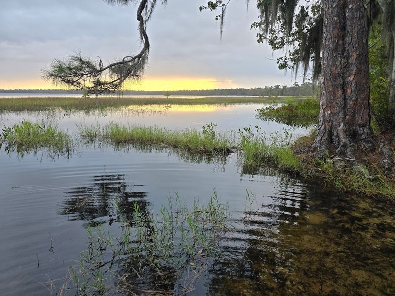 Paddling And Swimming At Ocean Pond