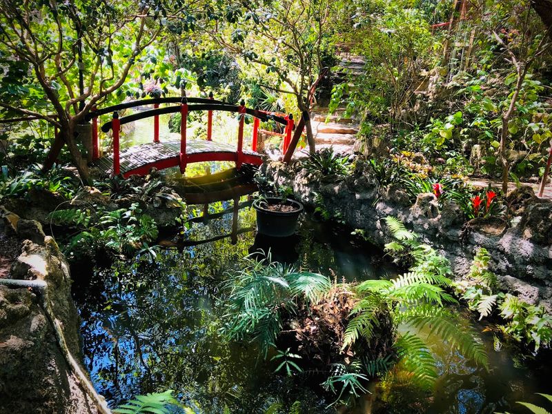 Seasonal Blooms and Timing