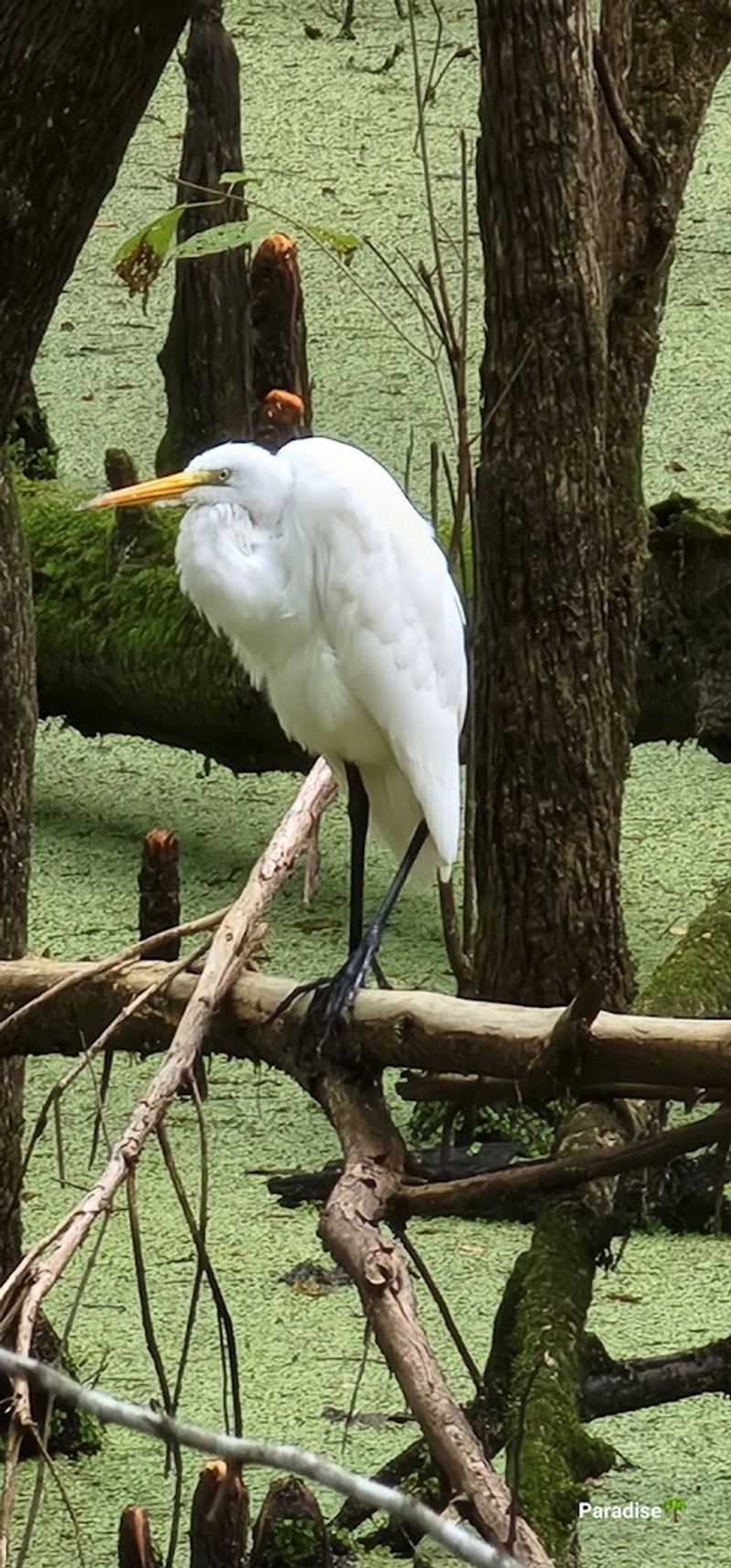 A Haven for Birdwatchers of All Experience Levels