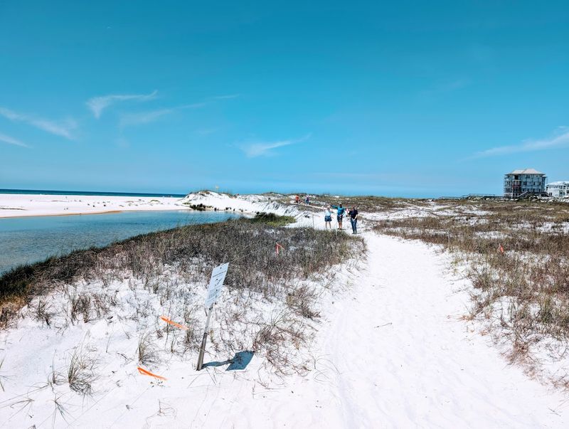Scenic Nature Trails Through Swamps and Dunes
