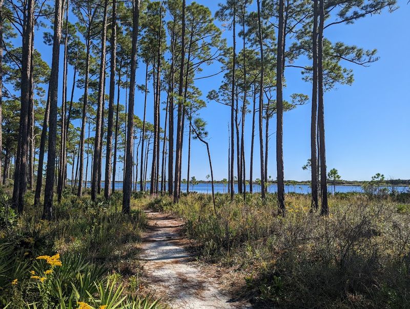 Scenic Trails Through Diverse Ecosystems