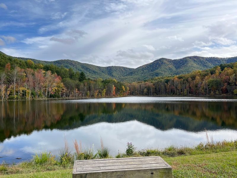 Trout Fishing on the Crystal-Clear Jacob Fork River
