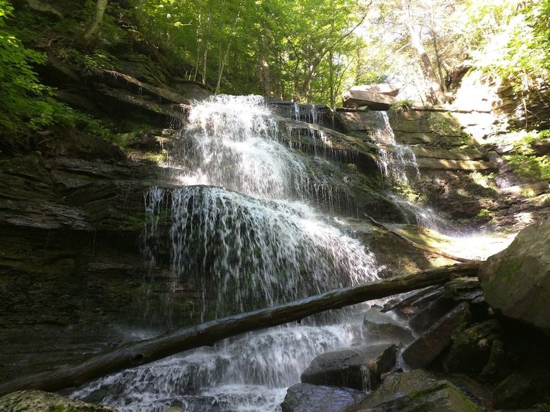 Pairing With Nearby Attractions