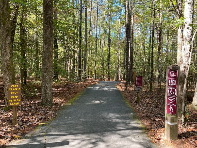 Clemmons Educational State Forest
