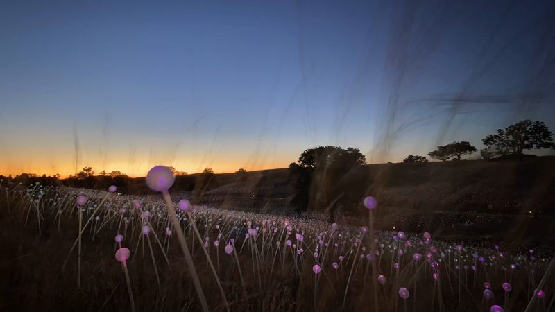 The Sunset Arrival Experience