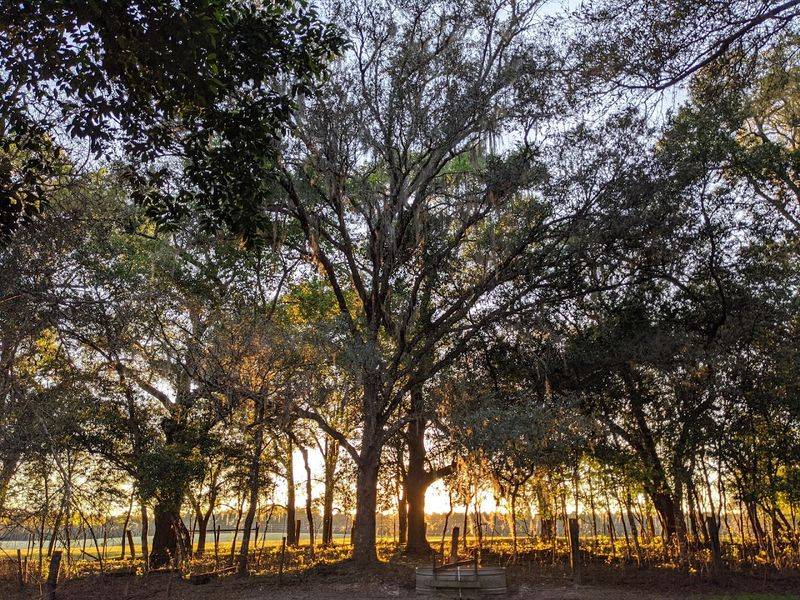 Wildlife Corridors and Birding Pullouts