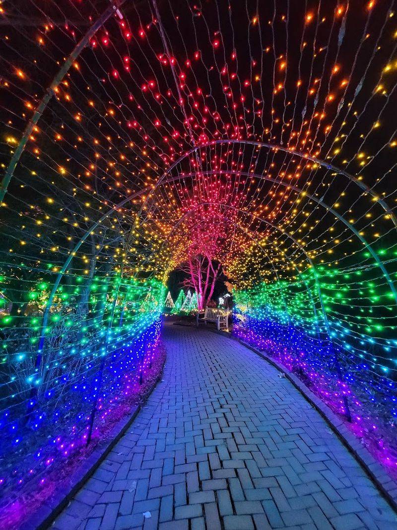 Seasonal Events and Art Installations