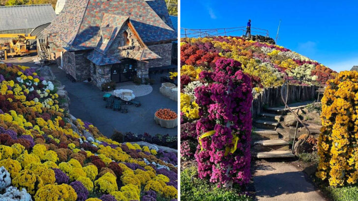 You Can Climb a 40-Foot Mountain Covered in Flowers at This Pennsylvania Garden Center