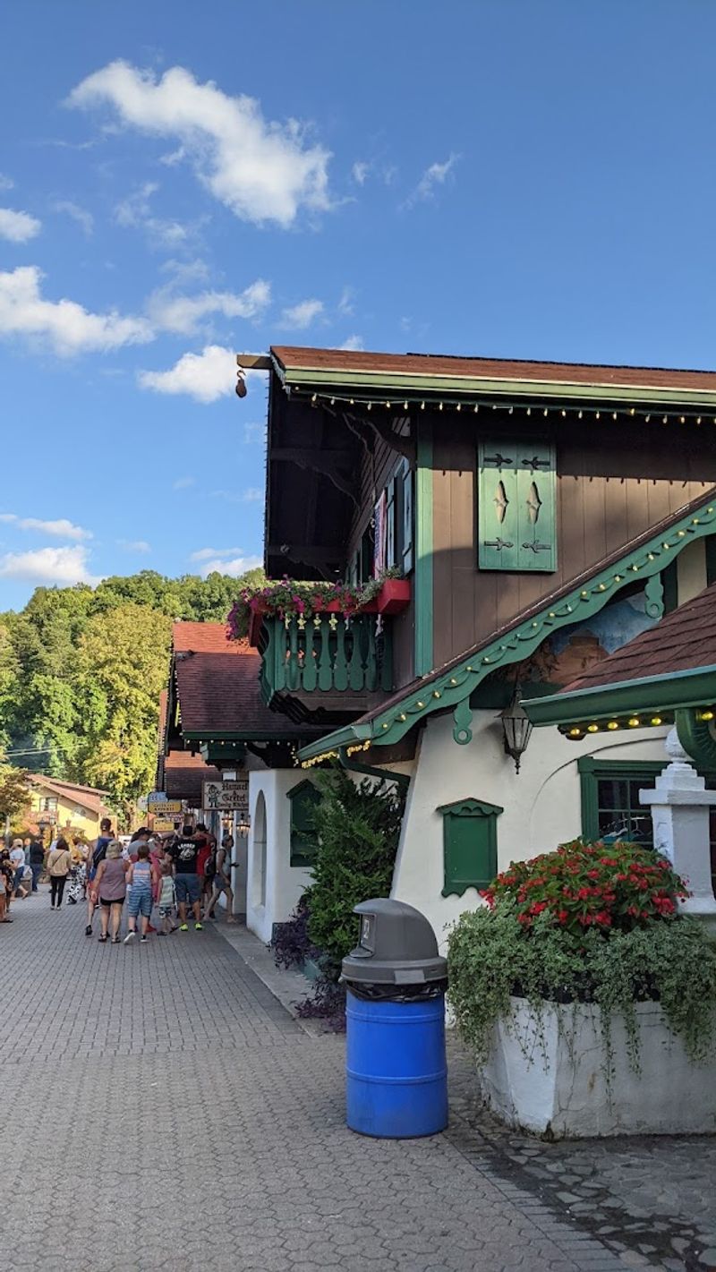 A Bavarian Village in the North Georgia Mountains