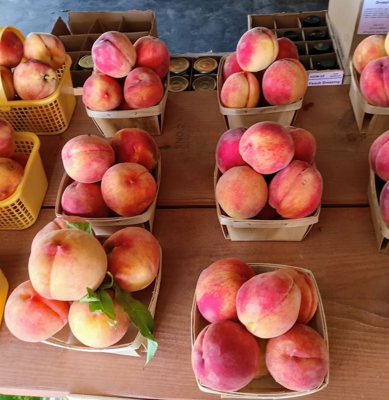 The Famous Fresh Peach Ice Cream