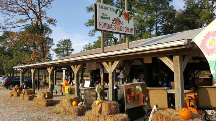 You&rsquo;ll Never Forget The Peach Ice Cream At This Small North Carolina Farm Stop