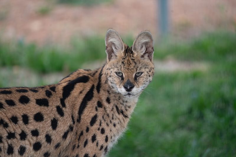 Essential Visitor Info Before You Go