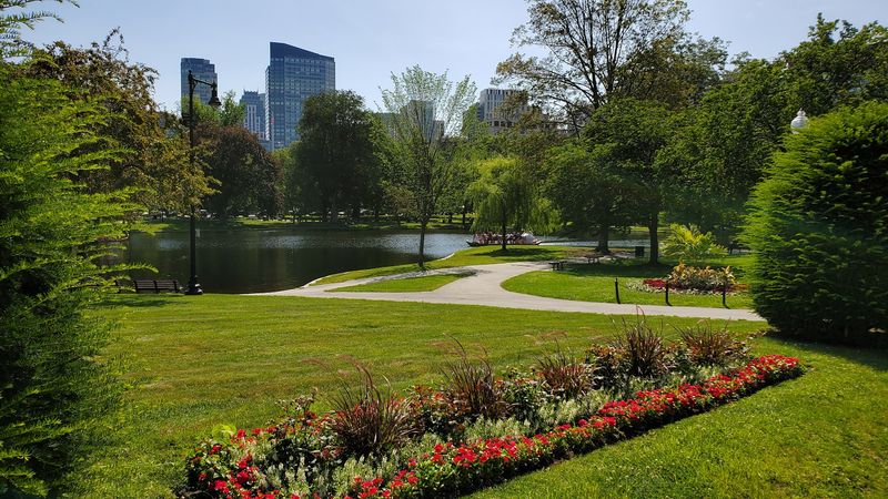 Boston Public Garden