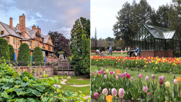 10 Spectacular Gardens In Massachusetts Worth Driving Across the State to Walk Through This Spring