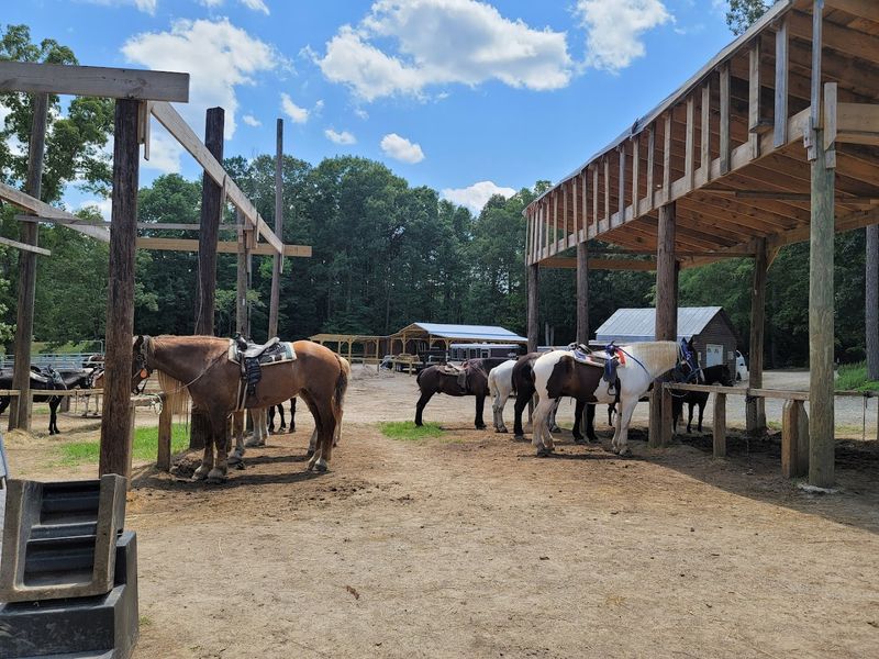 Dead Broke Farm (Raleigh)