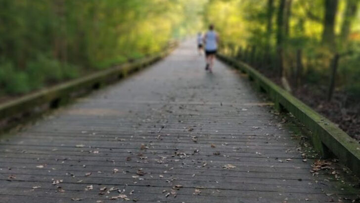 11 Bike Trails in Georgia That Prove the State Has Some of the Most Underrated Rides in the South