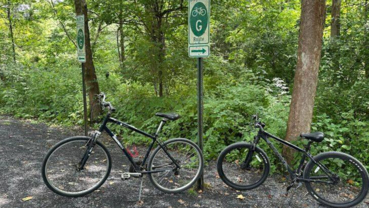 11 Bike Trails in Pennsylvania That Prove There Is No Better Way to See the State Than on Two Wheels