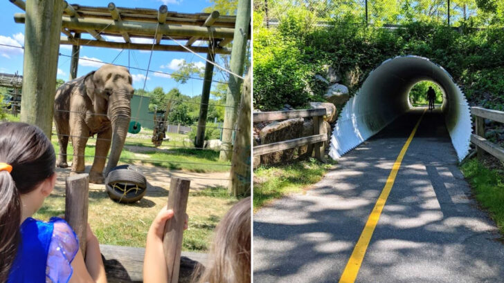 11 Easygoing Massachusetts Spring Activities Perfect for Families Who Don&rsquo;t Like Much Planning