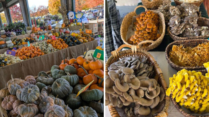 11 Farmers Markets in North Carolina Where You Can Taste the Difference Between Store-Bought and Straight From the Soil