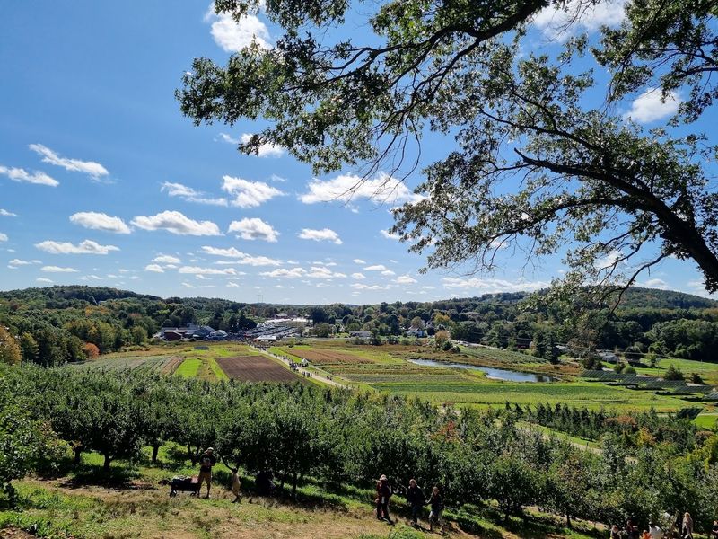 Cider Hill Farm