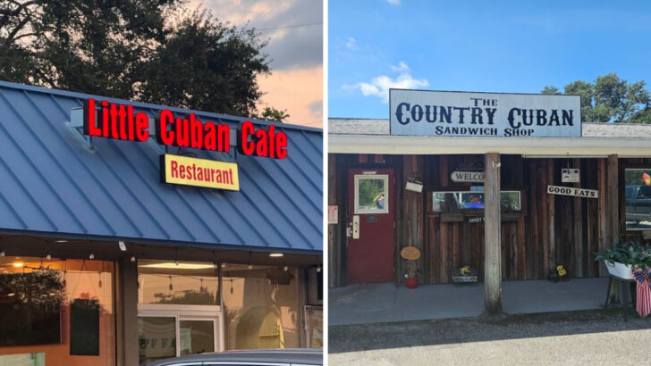 11 Hole-In-The-Wall Florida Cuban Sandwich Counters Worth Finding When You Want Lunch With Real Flavor