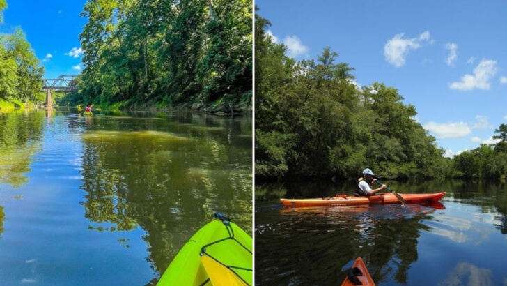 11 Kayak Trails in North Carolina Where You Paddle Under a Tree Canopy So Thick You Forget the Sky Is Up There