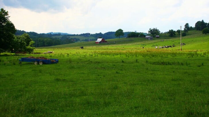 11 North Carolina Getaways Less Than Two Hours From Charlotte Worth a Full Weekend