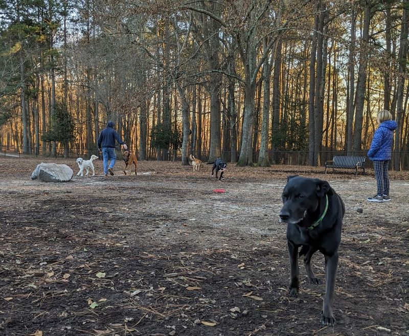 Lake Benson Dog Park - Garner, NC