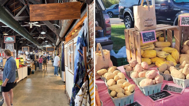 11 Ohio Farmers Markets That Make Weekend Trips Better in 2026