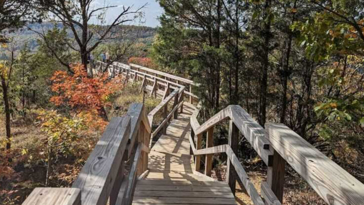 11 Ohio Hikes That Are at Their Most Beautiful Between April and Early June