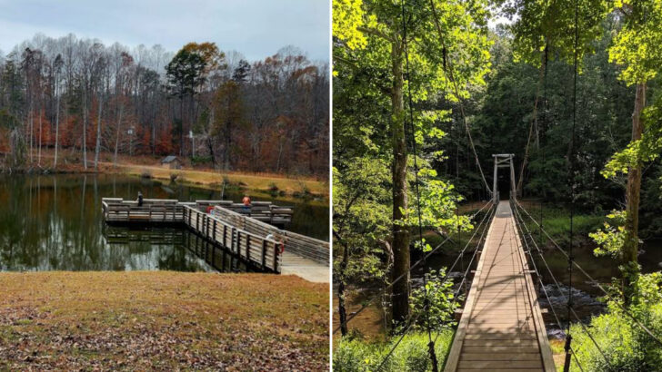 11 State Parks in North Carolina So Beautiful Most People Assume They&rsquo;re National Parks