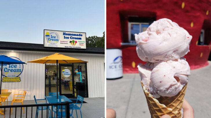 12 Family-Owned Ice Cream Counters in North Carolina Churning Their Own Flavors on Site