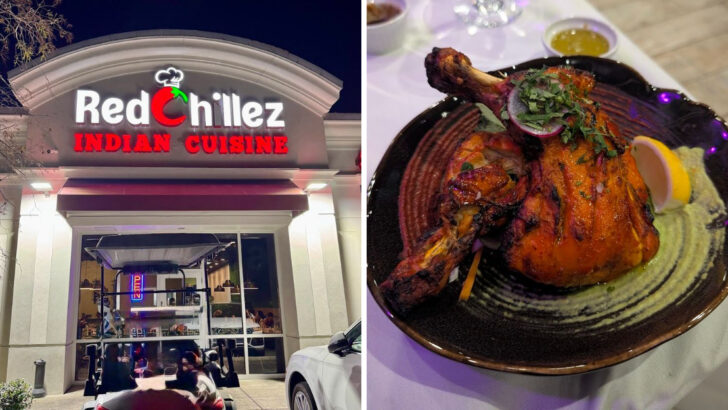 12 Indian Restaurants In Florida Serving Curries, Tandoori Dishes, And Big Weekend Dinner Energy