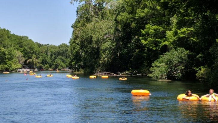 12 Lazy River Tubing Experiences In Florida Worth Planning A Weekend Around