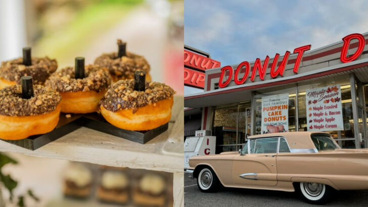 12 Low-Key Donut Spots in Massachusetts Where One Box Never Feels Like Enough