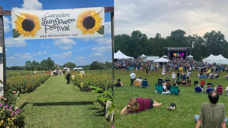12 Must-Visit Ohio Festivals Worth Planning a Trip Around in 2026