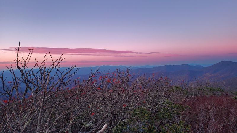 Craggy Pinnacle Trail (Blue Ridge Parkway)