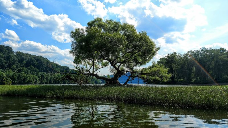 Allegheny Islands State Park (Cheswick)