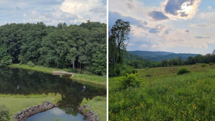 12 Obscure State Parks in Pennsylvania Most People Have Never Heard Of but Locals Treat Like Backyard Favorites