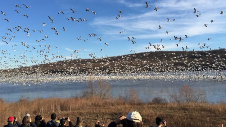 12 Pennsylvania Bird-Watching Spots Worth Planning Around Peak Spring Migration