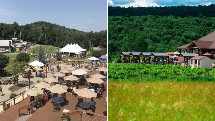 12 Pennsylvania Mountaintop Restaurants That Feel Like a Weekend in Another State Even Though You&rsquo;re Home by Sunset