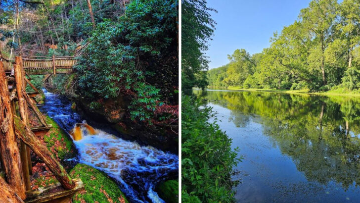 12 Pennsylvania Trails That Come Alive With Waterfalls and Wildflowers Every April