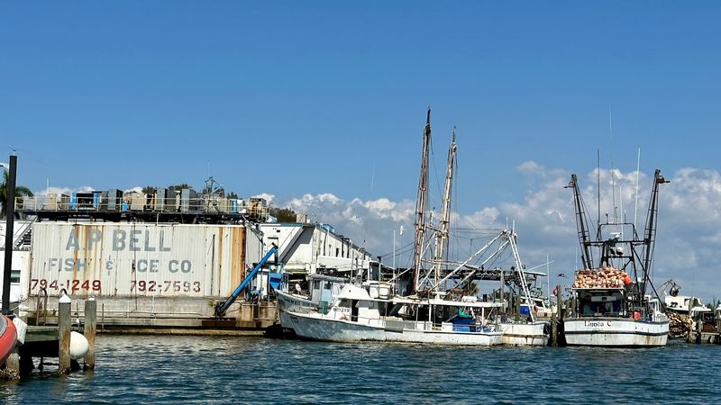 A P Bell Fish Co Inc