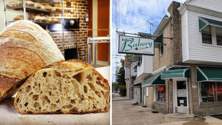 12 Traditional Bakeries in Pennsylvania Still Using Century-Old Sourdough Starters and Hand-Shaping Loaves Before Sunrise
