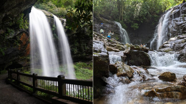 12 Waterfalls in North Carolina That Are Worth Every Minute of the Hike to Get There